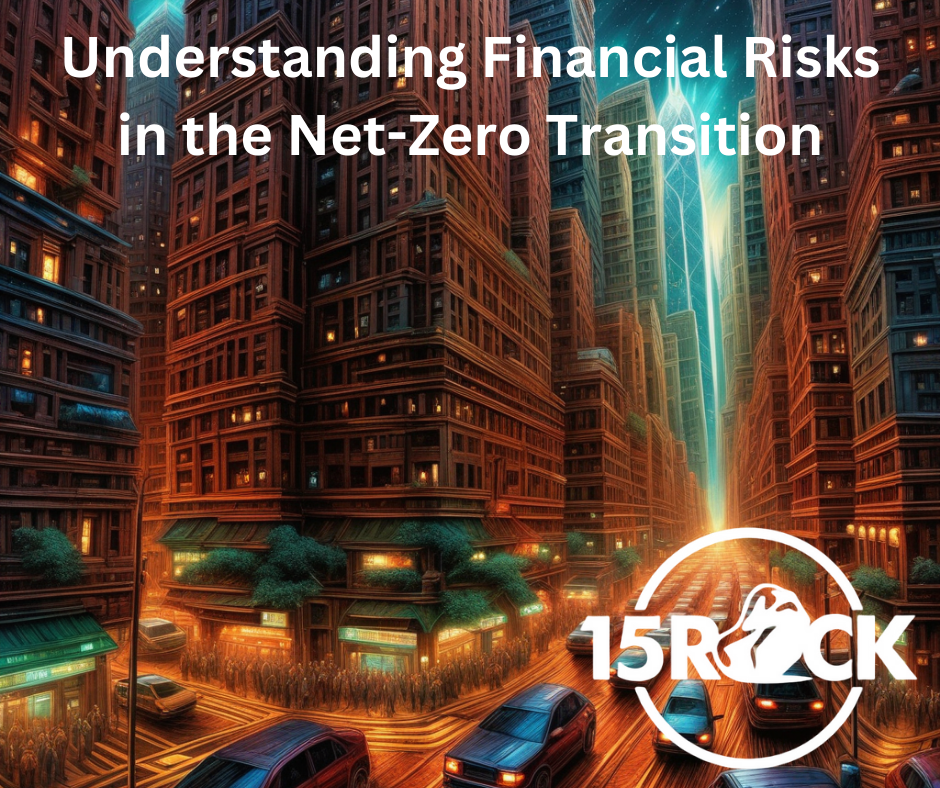 Understanding Financial Risks in the NetZero Transition
